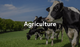 Secondary Agriculture