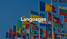 Secondary Modern Foreign Languages