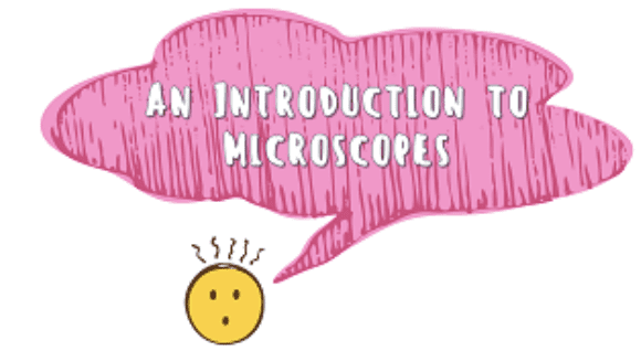Year 8 - An Introduction to Microscopes Presentation-image