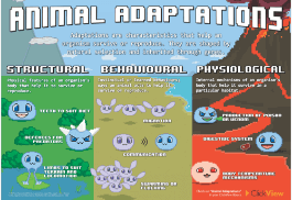 Animal Adaptations-image