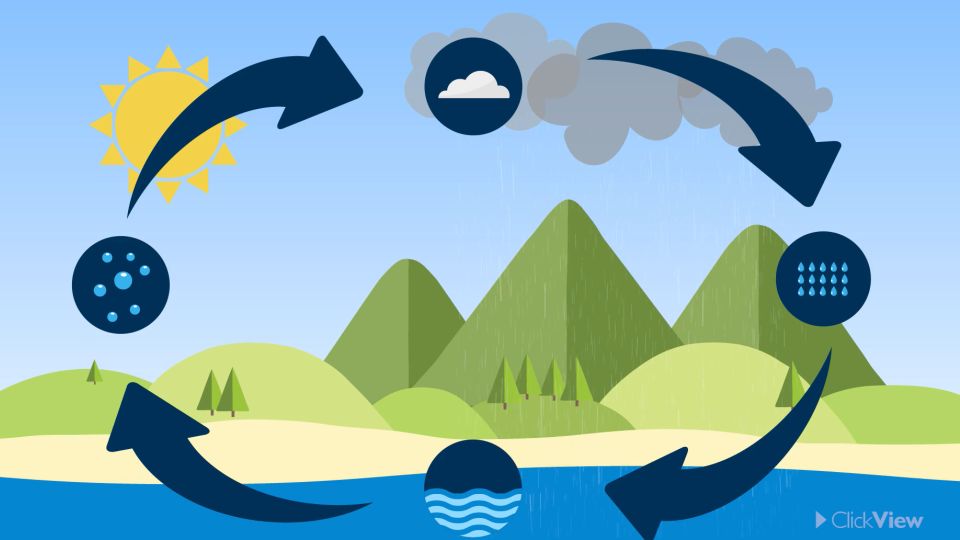 Diving into the water cycle - ClickView