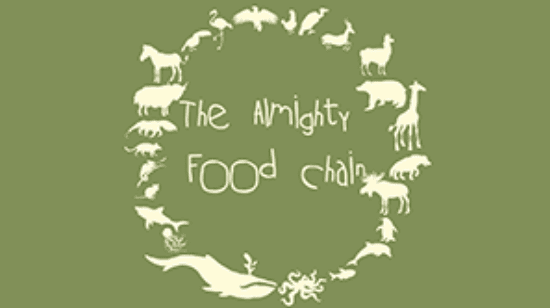 Year 7 - Food Chains Presentation-image