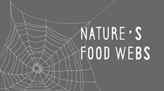 Year 7 - Food Webs Presentation-image