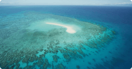 The Great Barrier Reef - ClickView Video Resources thumbnail