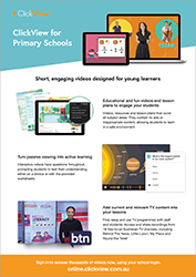 Primary Flyer