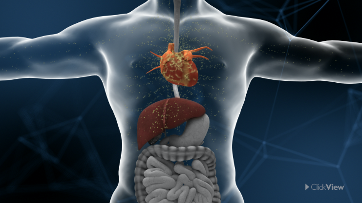 Psychology Concepts: Stress as a Biological Process-video