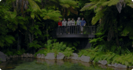 Rotorua: A Case Study in Sustainable… - ClickView Video Resources thumbnail