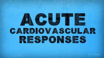 Acute Cardiovascular Responses -video