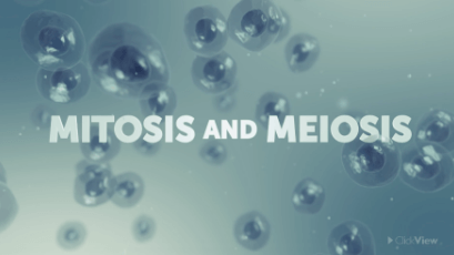 Mitosis and Meiosis-video
