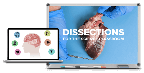 Dissections in the Science Classroom Smartboard