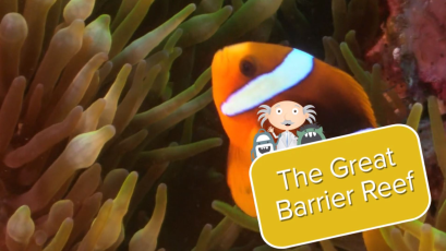 The Great Barrier Reef-video
