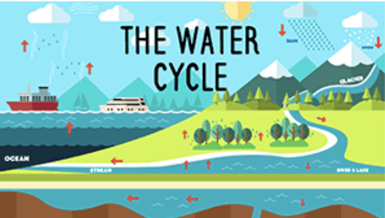 Year 7 - Water Cycle Presentation-image
